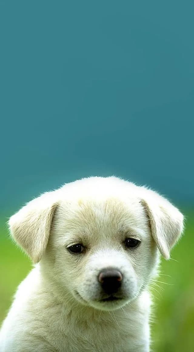 Lock screen